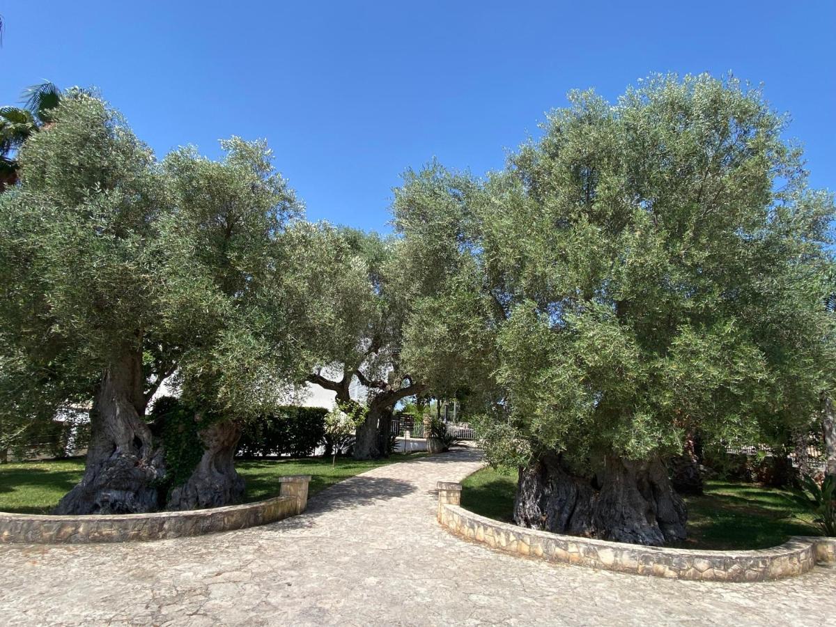 Citta Bianca Country Resort Ostuni Ngoại thất bức ảnh
